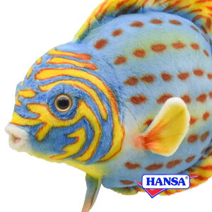 HANSA nT ʂ8514 fBXJX A Mы TJi