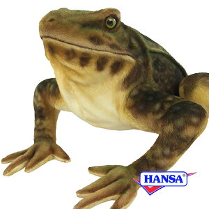 HANSA nT ʂ8575 SCAXKG JG  A 