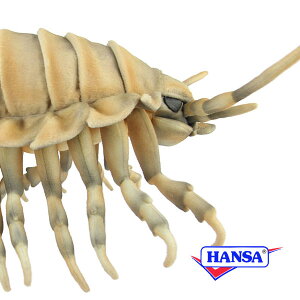 HANSA nT ʂ8577 _CIEO\NV A C̐ [C