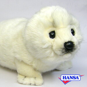 HANSA nT ʂ3766 AUV 炵 A C̐