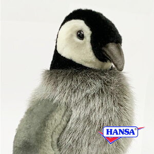 HANSA nT ʂ4668 REeCyM̎e ؂񂬂 Ԃ A 