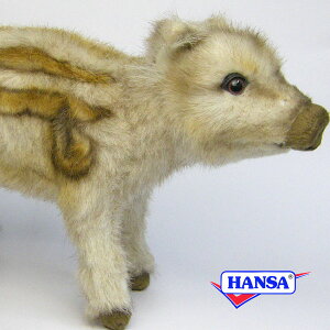 HANSA nT ʂ5341 CmVV̎e  ̂ V A 