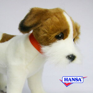HANSA nT ʂ5901 WbNbZeA  Ck A 