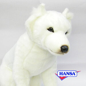 HANSA nT ʂ6343 kC  Ck A 