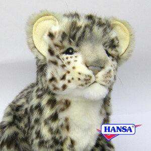 HANSA nT ʂ6356 LqE̎e qE A 