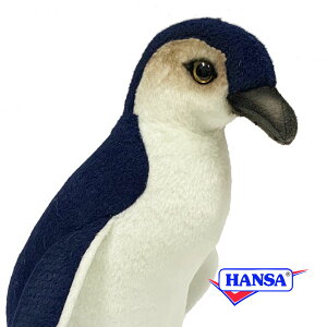 HANSA nT ʂ7088 RK^yM ؂񂬂 A 