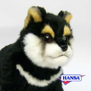 HANSA nT ʂ7249 Ă̎e NVo  RCk e q A 