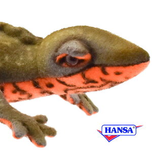 HANSA nT ʂ8141 AJnC  A ঒