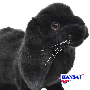 HANSA nT ʂ8142 z[hbv ubN e ETM  A 