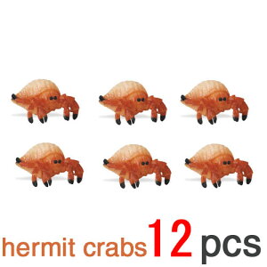 Tt@Ѓ~jtBMA342822 hJ 12Zbg