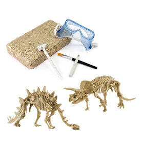 ＜ボーネルンド＞ 恐竜発掘キット ステゴサウルス＆トリケラトプス