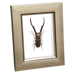 W{ ^tF[z\AJNK^ ^bNCgt[ 15×12cm