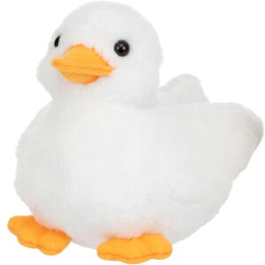 C GRRG R[_bN  ʂ [}C 