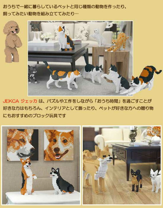 楽天市場】【無料ラッピングサービス有り】JEKCA ジェッカブロック 黒 