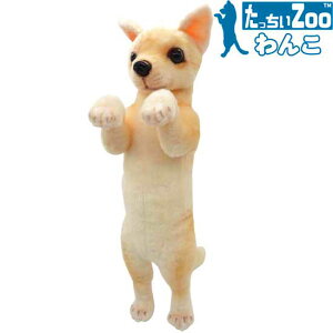 たっちぃZoo わんこ チワワ 犬のぬいぐるみ