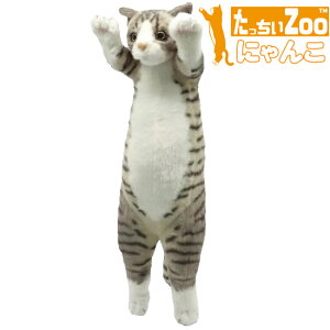 Zoo ɂ LW L̂ʂ