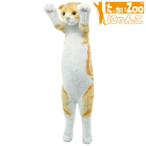 たっちぃZoo にゃんこ スコティッシュフォールドレッドタビー 猫のぬいぐるみ