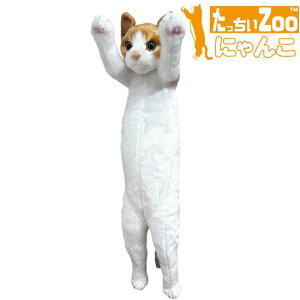 Zoo ɂ  L̂ʂ