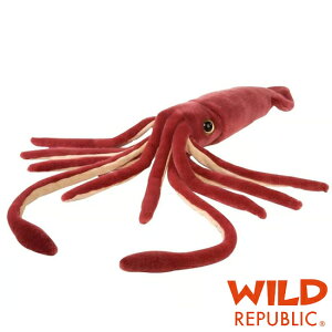 Wild Republic ChpubN ʂ83198 _CIECJ bh C̐