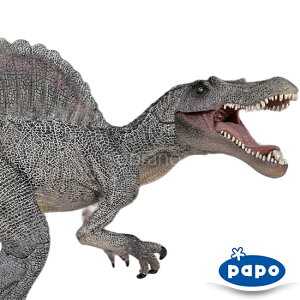 papo p| tBMA 55011 XsmTEX