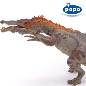 papo p| tBMA 55054 oIjNX