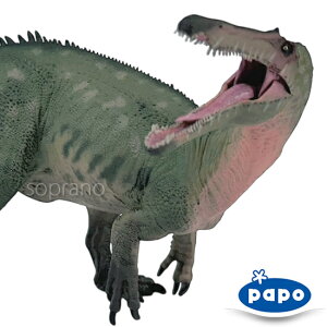 papo p| tBMA 55101 XR~X