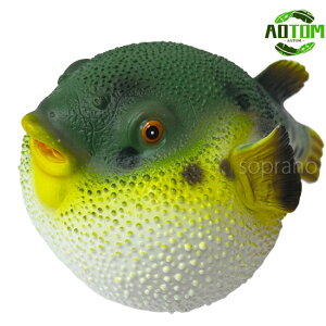 AIg CmtBMArj[f gtO  FK \tr } C̐