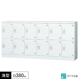 lpbJ[ 12lp 62i _C t Ȃ ^ s380 lp^Cv R[i[K[ht bJ[ ړIbJ[ zCgO[ X`[bJ[ X`[ ItBX