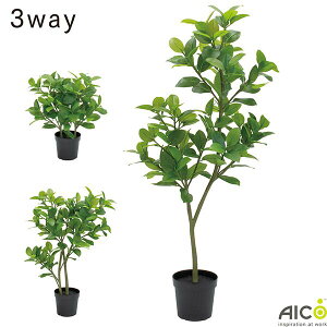 3WAY ItBXO[ t@CJX\tBA |bg H70/H100/H150cm lHϗtA v^[ FGF-2417V ؃v^[ tFCNO[ ItBX O[ lHA A[gO[ CeAO