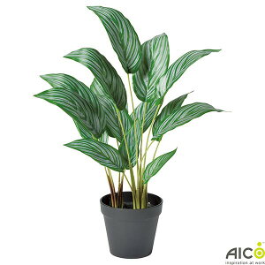 ItBXO[ JeA H48×W30cm |bgt lHϗtA v^[ FGK-48A ؃v^[ tFCNO[ ItBX O[ lHA A[gO[ CeAO[ ϗtA 