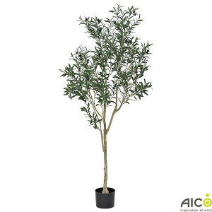 ItBXO[ I[u H180×W70cm |bgt lHϗtA v^[ FGO-180A ؃v^[ tFCNO[ ItBX O[ lHA A[gO[ CeAO[ ϗtA 