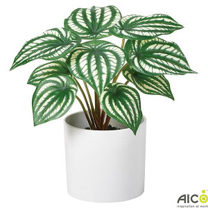 ItBXO[ yy~A H21×W22cm |bgt lHϗtA v^[ FGP-21A |bg tFCNO[ ItBX O[ lHA A[gO[ CeAO[ ϗtA I