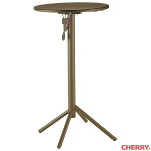 y@llznCe[u W610 H1065 X`[ uE XeBnCe[u cherry H TChX^bN ܂݃e[u V܂肽 ۃe[u K[f Garden GgX