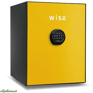 yJݒuz eL[ ω΋ 60kg CG[ 60ω W404×D480×H522 WS500AL CeA h h }Cio[ ۊǌ Mdiۊ v~AZ[t eL[  SAFE ω΋ 