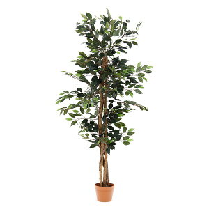 tBJX ϗtA 690 A O[ W600×D600×H1500 tFCNO[ CeAK[f   rO K[f K[f K[f AEghAEXPO sf CeA