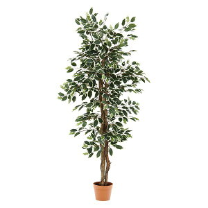 tBJX ϗtA 690 B O[ W800×D800×H1600 tFCNO[ CeAK[f   rO K[f K[f K[f AEghAEXPO sf CeA