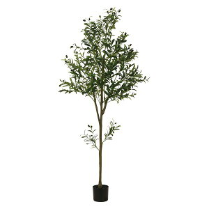 tFCNO[ I[u 180cm WCg O[ W600×D600×H1800   CeAK[f rO K[f K[f AEghAEXPO sf CeAƋ y@