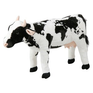 8981-31(82470) EV W250×D700×H530   ʂ xr[&LbY   LbYƋ q LbY[ sf CeAƋ y@llz