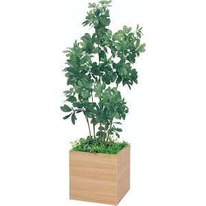 ItBXO[ VFt W650×H1700×D650 {bNXv^[ GR5009 400p lHϗtA ؃v^[ tFCNO[ ItBX O[ lHA A[gO[ CeAO[ 