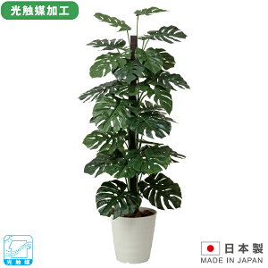 tA Xe1.8 G} ItBXO[ W600×D600×H1800 lHA A[gO[ CeAO[ ϗtA R L h zAfqh O[ v^[ ItBX