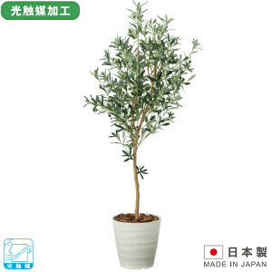 tA I[uc[1.6 G} ItBXO[ W550×D550×H1600 lHA A[gO[ CeAO[ ϗtA R L h zAfqh O[ v^[ ItB