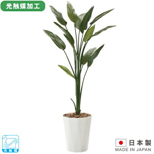 tA Xg`A1.6 G} ItBXO[ W650×D600×H1600 lHA A[gO[ CeAO[ ϗtA R L h zAfqh O[ v^[ ItBX