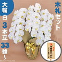 胡蝶蘭 大輪 白 3本立ち 33輪〜(蕾込み) 木札セット 高級胡蝶蘭 農園直送 金賞受賞 ギフト お祝い 花 誕生日 結婚記念日 金婚式 移転祝い 事務所移転 開店祝い 開業祝い お供え 就任 栄転 褒章 叙勲 受賞祝い 受章祝い 昇進 栄転 就任 長寿 還暦 株主総会 送料無料