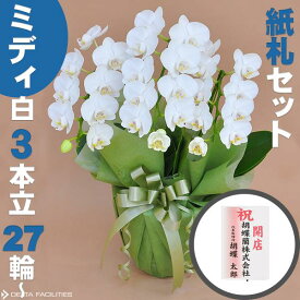 胡蝶蘭 ミディ 白 3本立ち 27輪～(蕾込み) 紙札セット 高級胡蝶蘭 農園直送 金賞受賞 ギフト お祝い 花 誕生日 結婚記念日 金婚式 移転祝い 事務所移転 開店祝い 開業祝い お供え 就任 栄転 褒章 叙勲 受賞祝い 受章祝い 昇進 栄転 就任 長寿 還暦 株主総会 送料無料