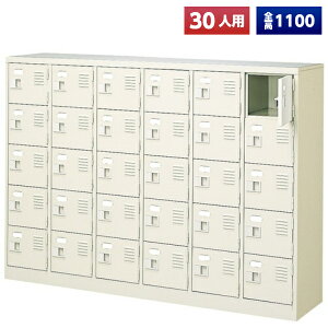 y{z V[Y{bNX 30lp 65i Ȃ t X`[ C [  Xߎ  wZ { m e a@ bJ[ ʔ V[YbJ[ V[YP[X V[YbN