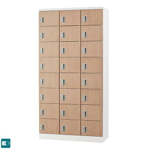 y󒍐Yiz ؖڕ 24lp X^_[hbJ[ ^ t Ȃ 24lp^Cv  38i GLK-N24T-NT bJ[  X`[bJ[ ItBXbJ[ [ X߃bJ[ 