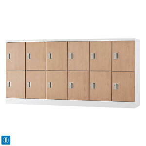 y󒍐Yiz ؖڕ 12lp X^_[hbJ[ H880^Cv ^ t Ȃ 12lp^Cv V_[ 62i GLK-S12YS-NT bJ[  X`[bJ[ ItBXbJ[ [ 