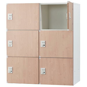 【受注生産品】 日本製 パーソナルロッカー 6人用 下置用 スチール製 W900×D450×H1050mm 2列3段 ホワイト ナチュラル 鍵付き ダイヤル錠 キャビネット 業務用 メールボックス メールロッカー 個