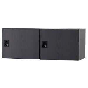 y󒍐Yiz { p[\ibJ[ 2lp up X`[ W900×D450×H350mm 21i ubN AbVO[ t _C Lrlbg Ɩp [{bNX [bJ[ 