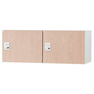 y󒍐Yiz { p[\ibJ[ 2lp up X`[ W900×D450×H350mm 21i zCg i` t _C Lrlbg Ɩp [{bNX [bJ[ l